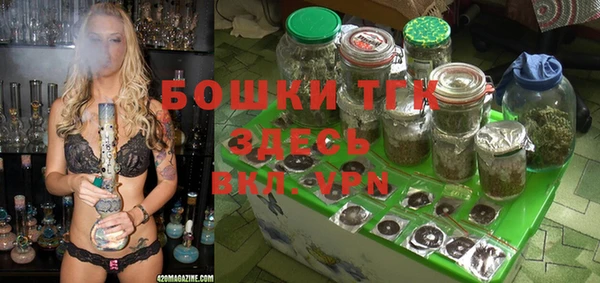 PSILOCYBIN Ижевск
