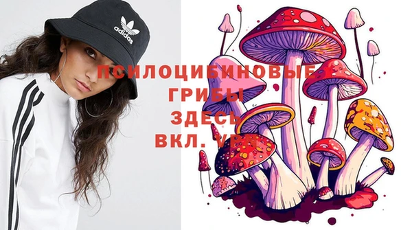первитин Зерноград