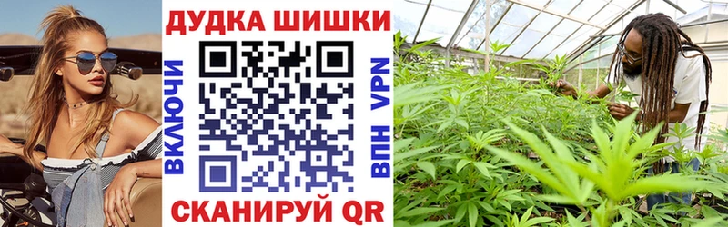 где купить наркотик  omg ССЫЛКА  Конопля VHQ  Гдов 