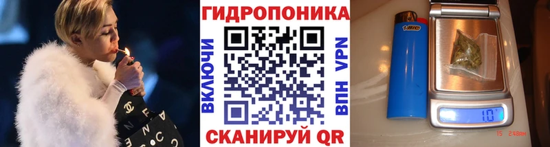 Шишки марихуана OG Kush Гдов